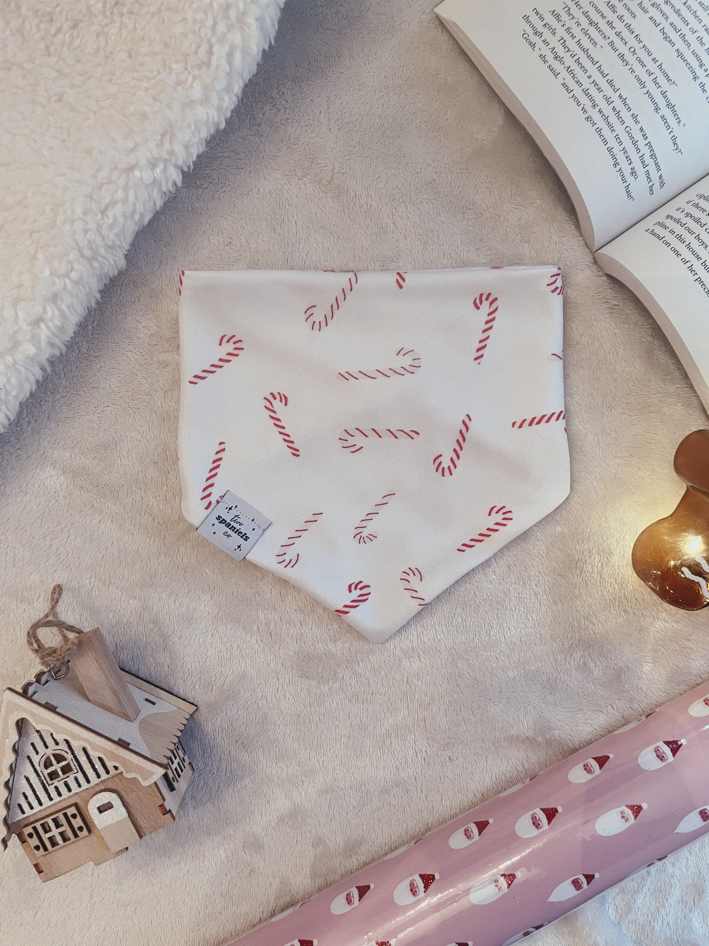Candy Cane Lane Bandana