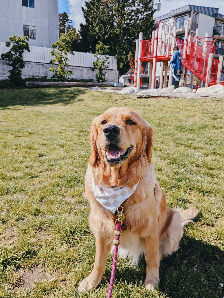 Neutral Checks Bandana