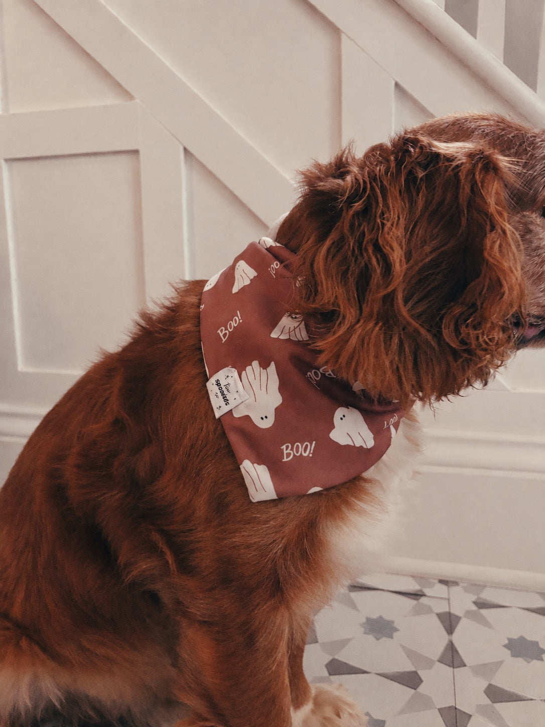 Boo Bandana