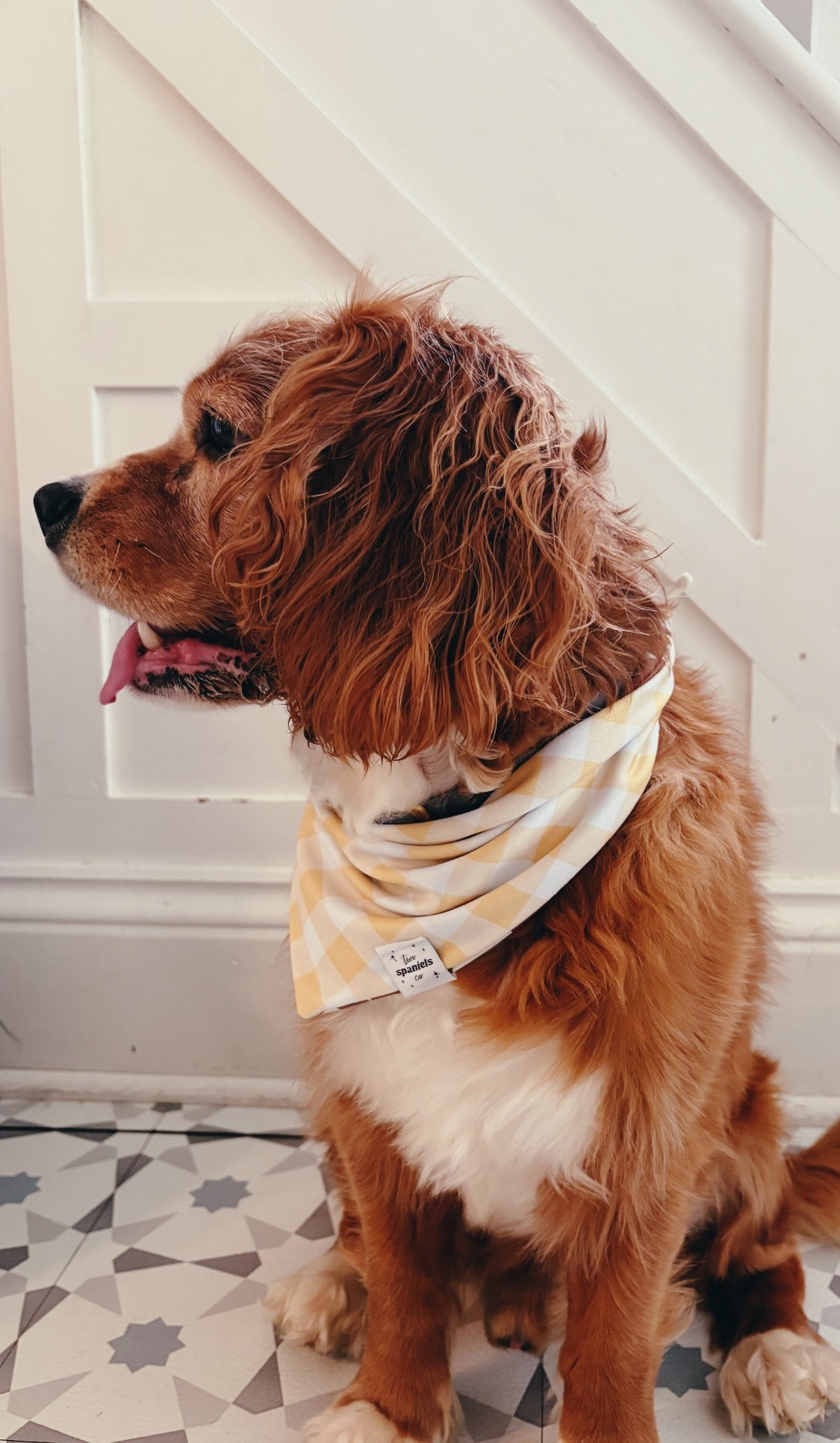 Corn Maze Bandana