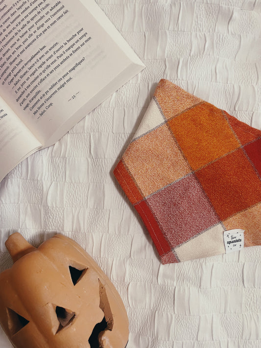 Pumpkin Spice Bandana