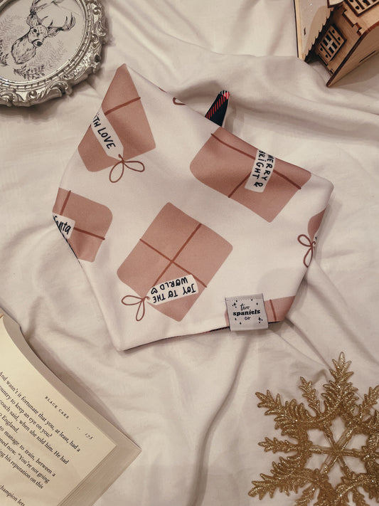 Special Delivery Bandana